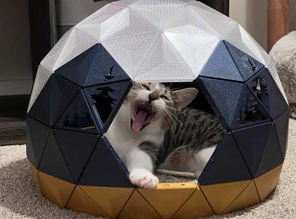 dome cat house